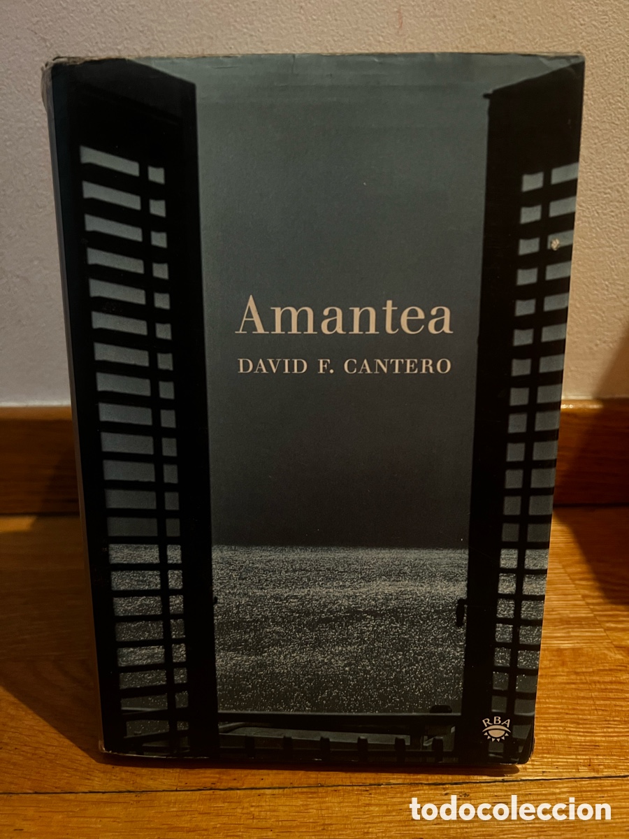Libros de segunda mano: Amantea DAVID F. CANTERO - Foto 1