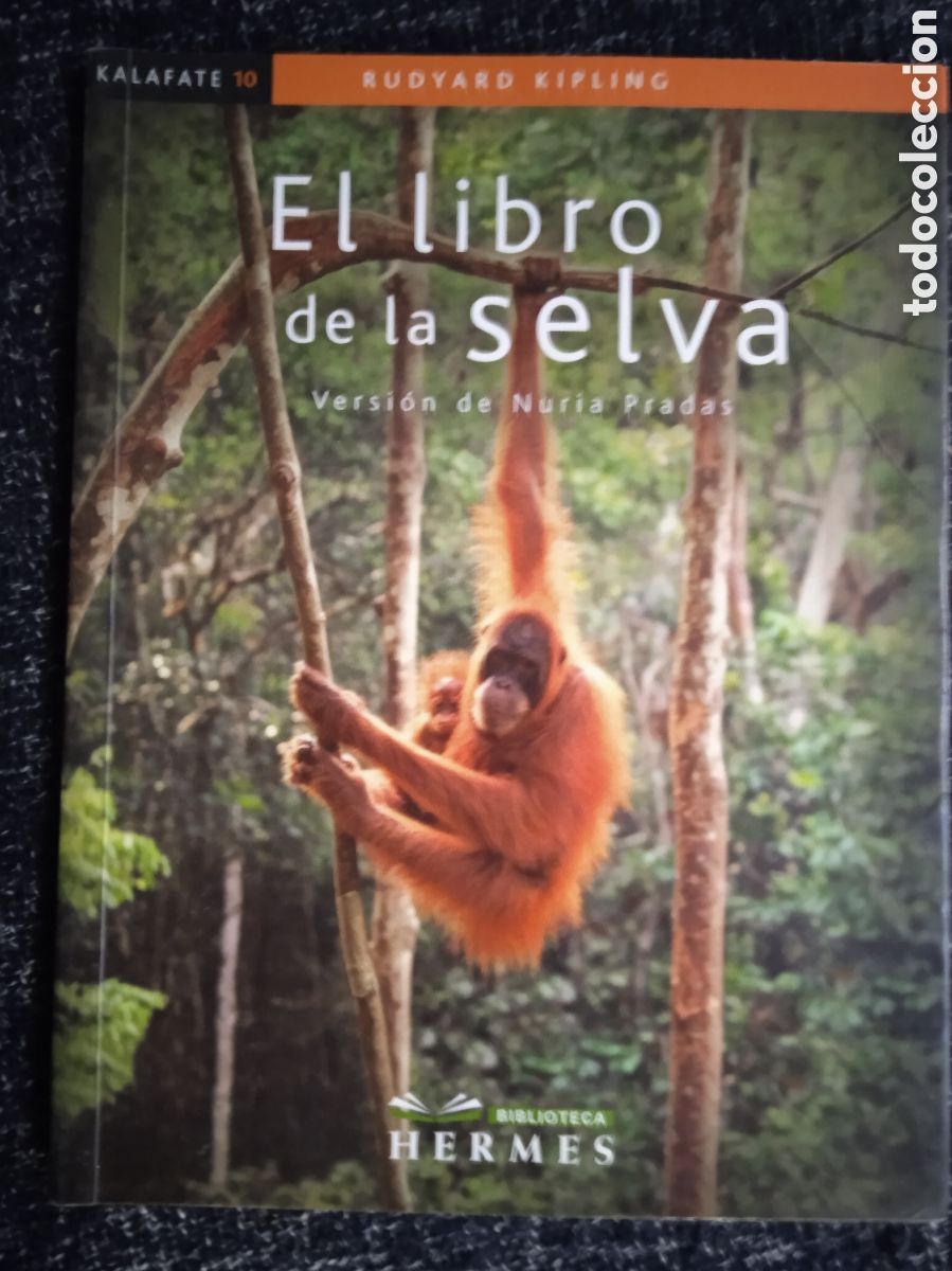 Libros de segunda mano: EL LIBRO DE LA SELVA / RUDYARD KIPLING, - VERSION NURIA PRADAS - Foto 1