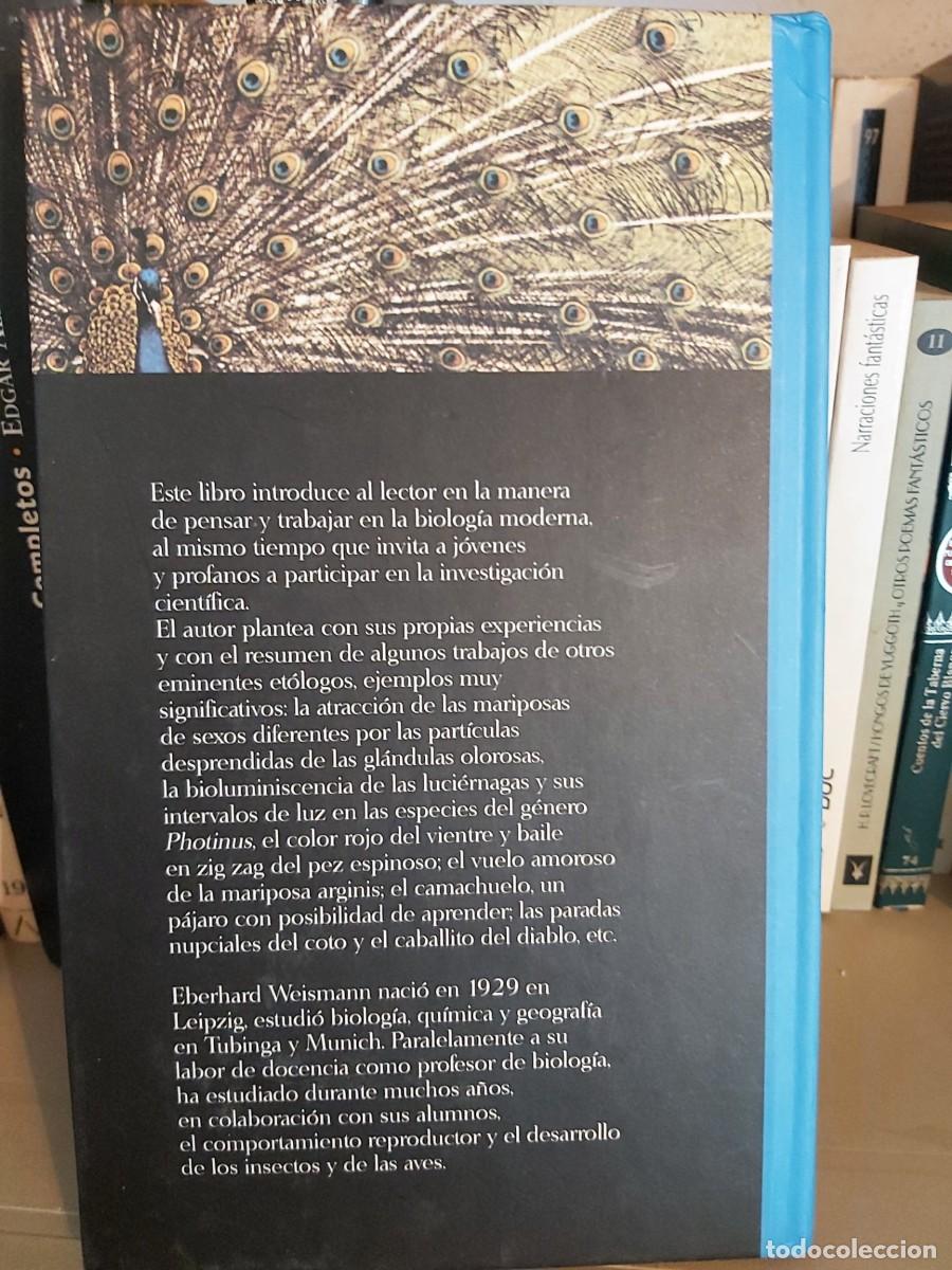 Libros de segunda mano: LOS RITUALES AMOROSOS: EBERHARD WEISMANN - Foto 2