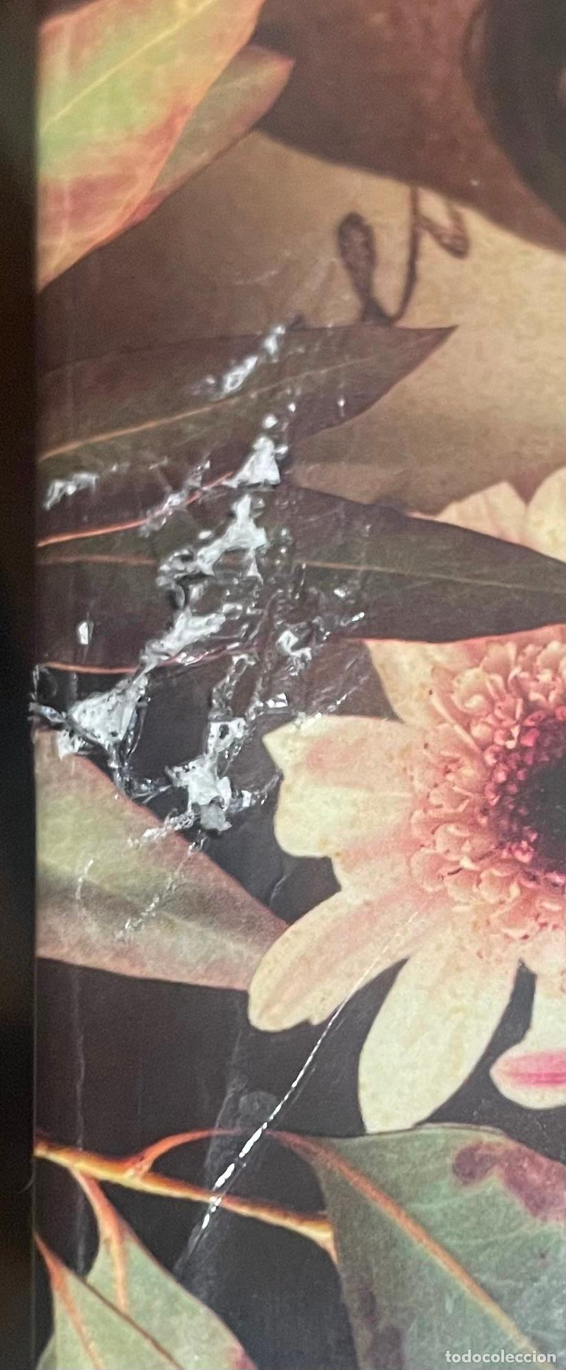 Libros de segunda mano: FLOR DE ARRABAL, Carmen Santos - Foto 2