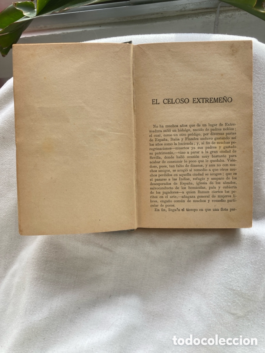 Libros de segunda mano: NOVELAS EJEMPLARES M. DE CERVANTES SAAVEDRA - Foto 5