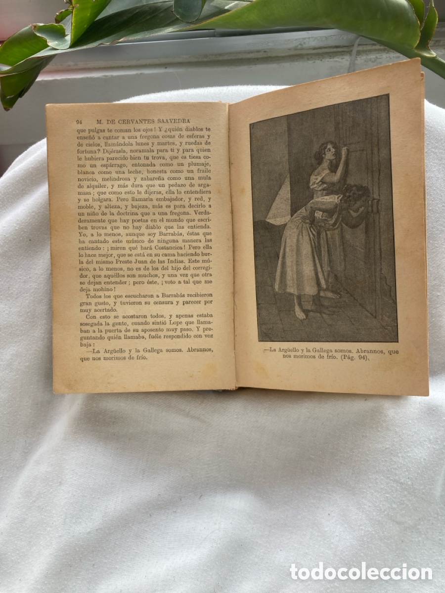 Libros de segunda mano: NOVELAS EJEMPLARES M. DE CERVANTES SAAVEDRA - Foto 7