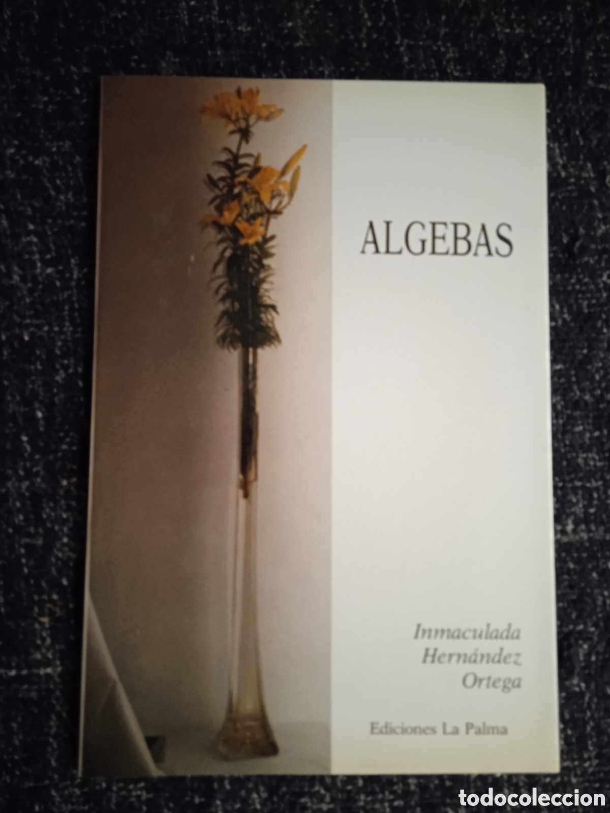 Libros de segunda mano: ALGEBAS / INMACULADA HERN&Aacute;NDEZ ORTEGA - Foto 1