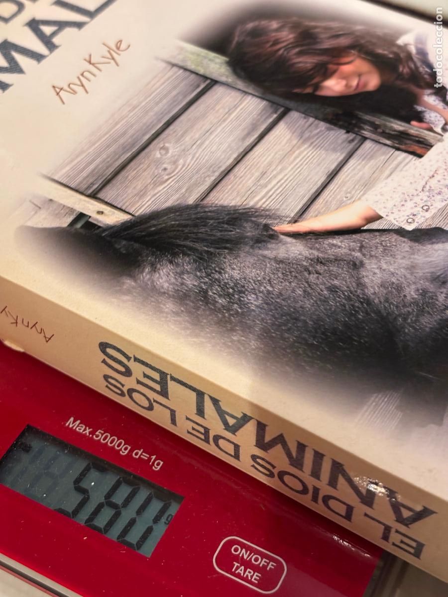 Libros de segunda mano: El dios de los animales. Aryn Kyle. - Foto 3