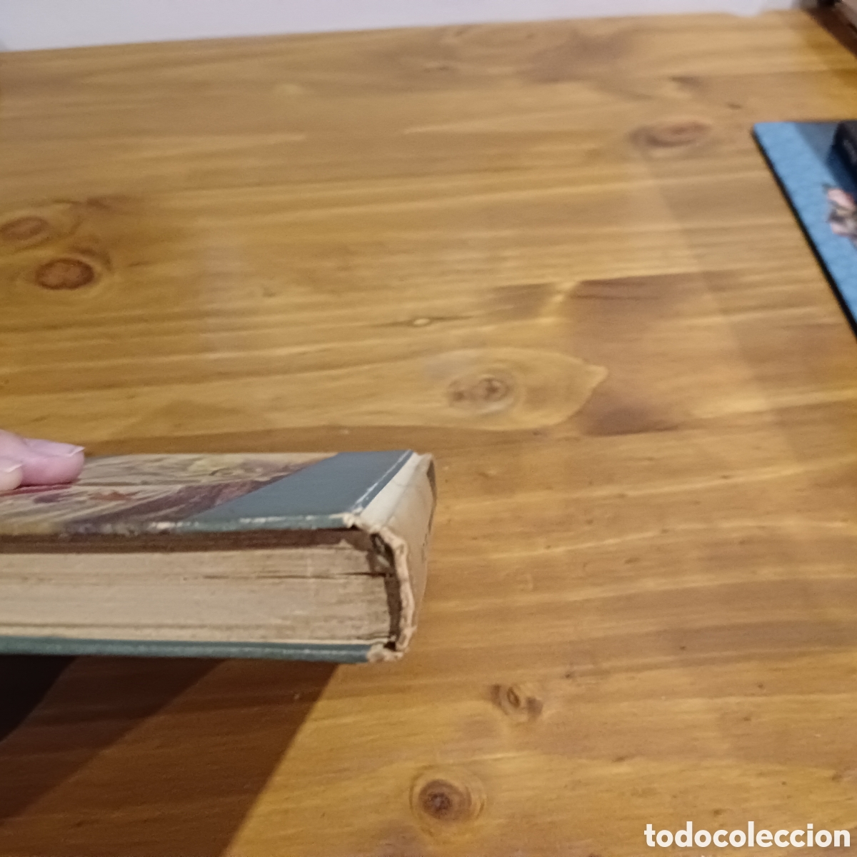 Libros de segunda mano: En el profundo bosque - Foto 7