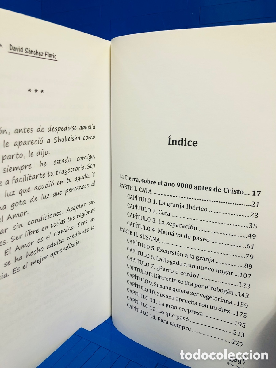Libros de segunda mano: DIFERENTE ● DAVID SANCHEZ FLORIO - Foto 5