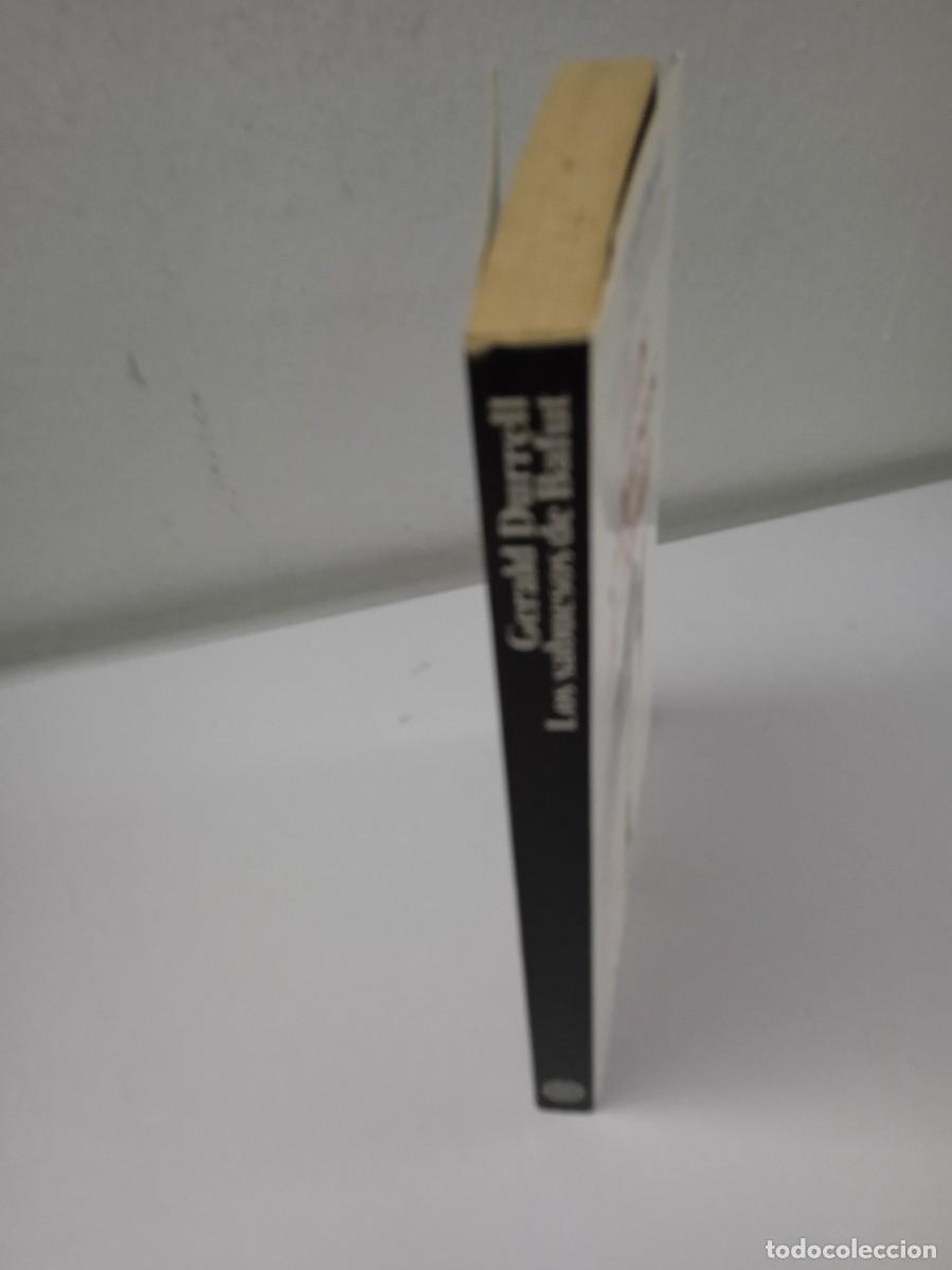 Libros de segunda mano: LOS SABUESOS DE BAFUT Gerald Durrell - Foto 2