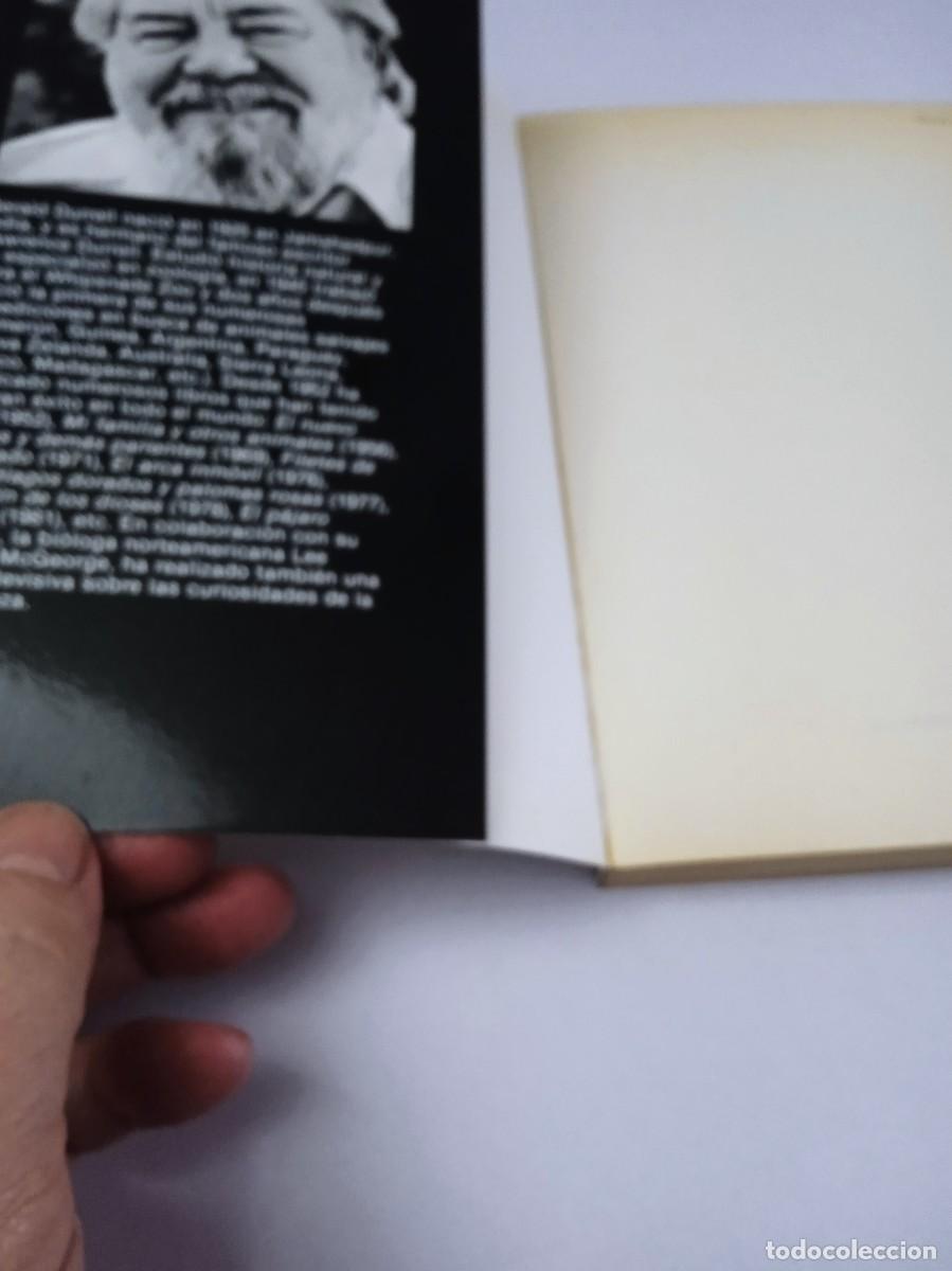Libros de segunda mano: LOS SABUESOS DE BAFUT Gerald Durrell - Foto 5