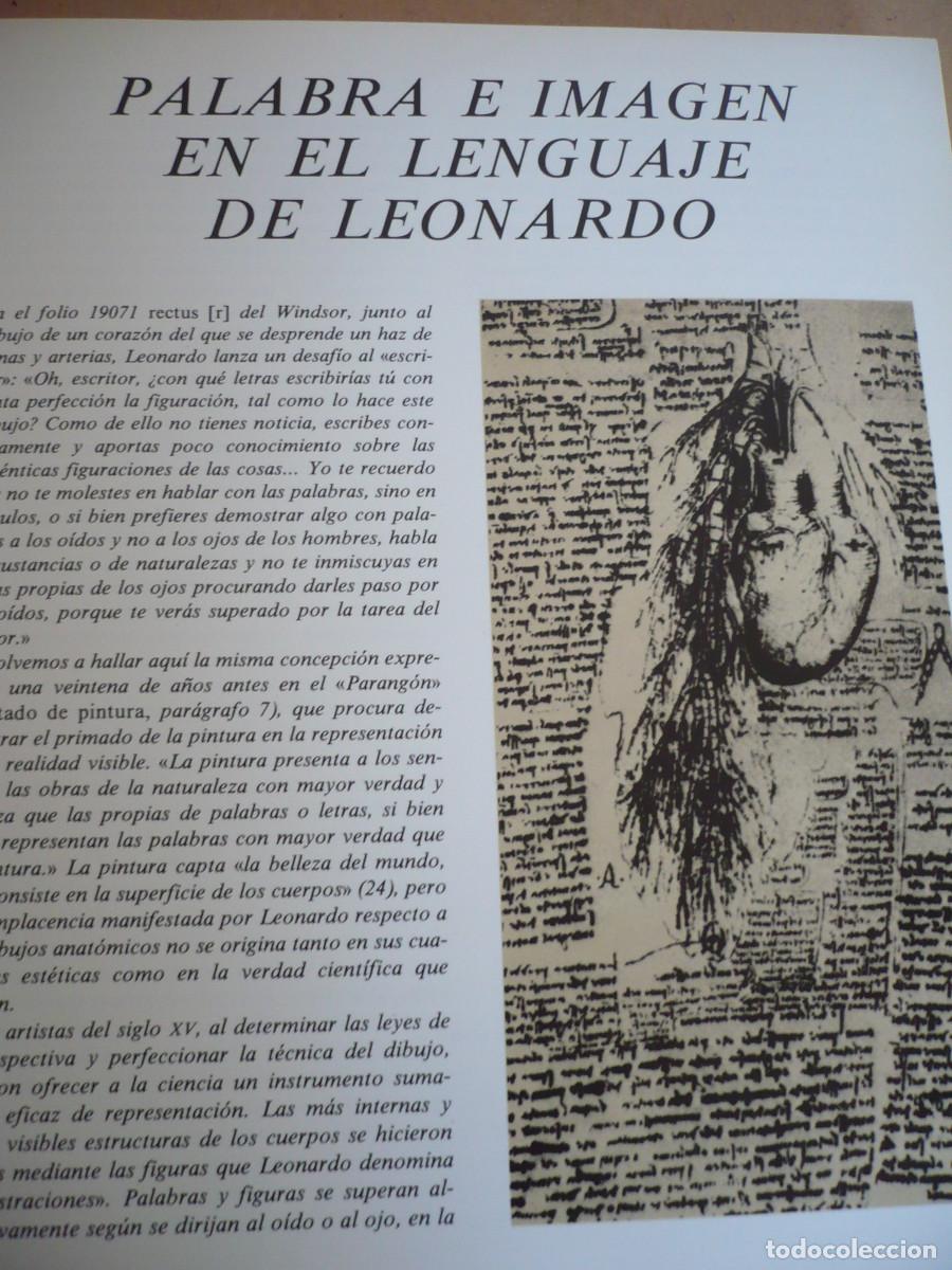 Libros de segunda mano: Leonardo Da Vincci, libro de Dibujos. - Foto 5