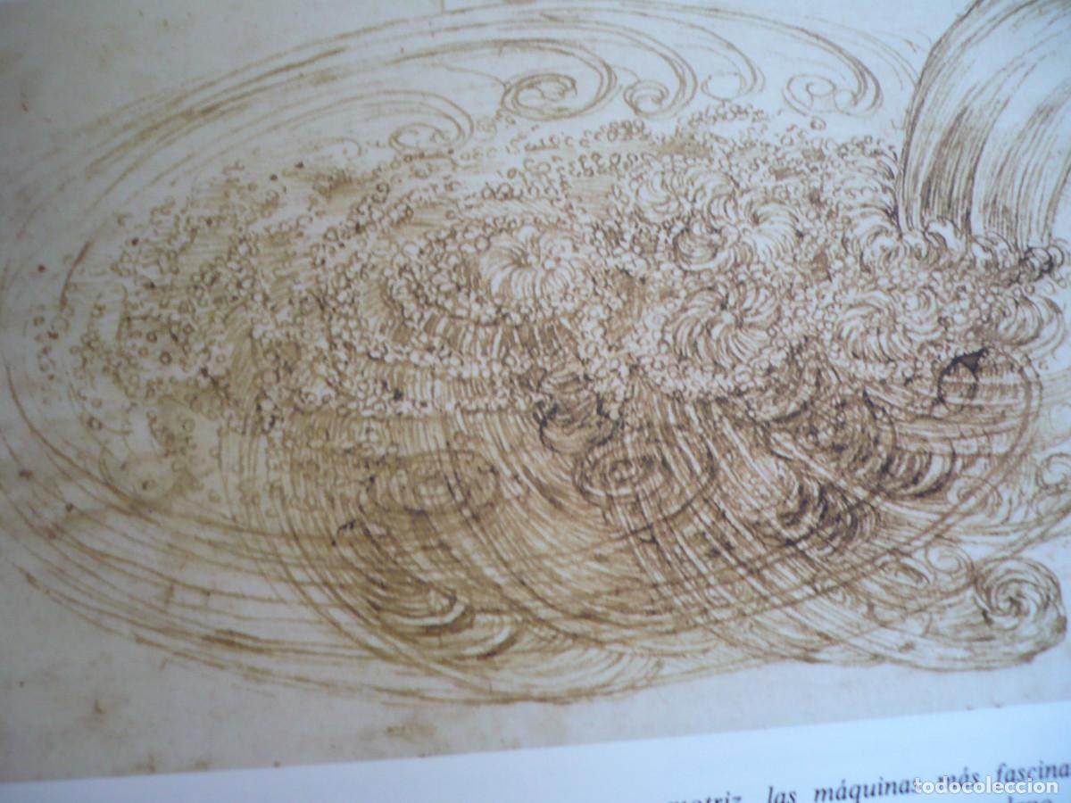 Libros de segunda mano: Leonardo Da Vincci, libro de Dibujos. - Foto 6