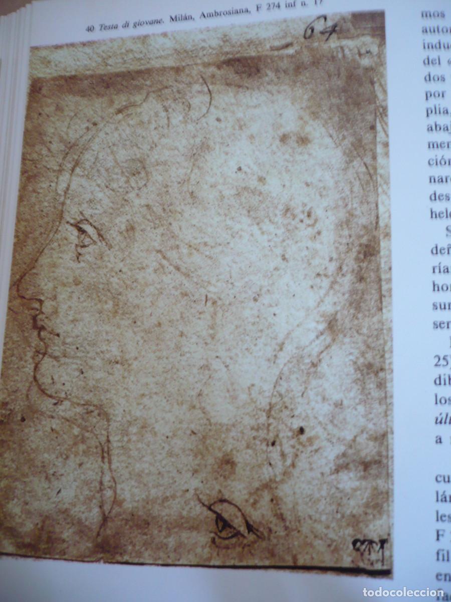 Libros de segunda mano: Leonardo Da Vincci, libro de Dibujos. - Foto 8