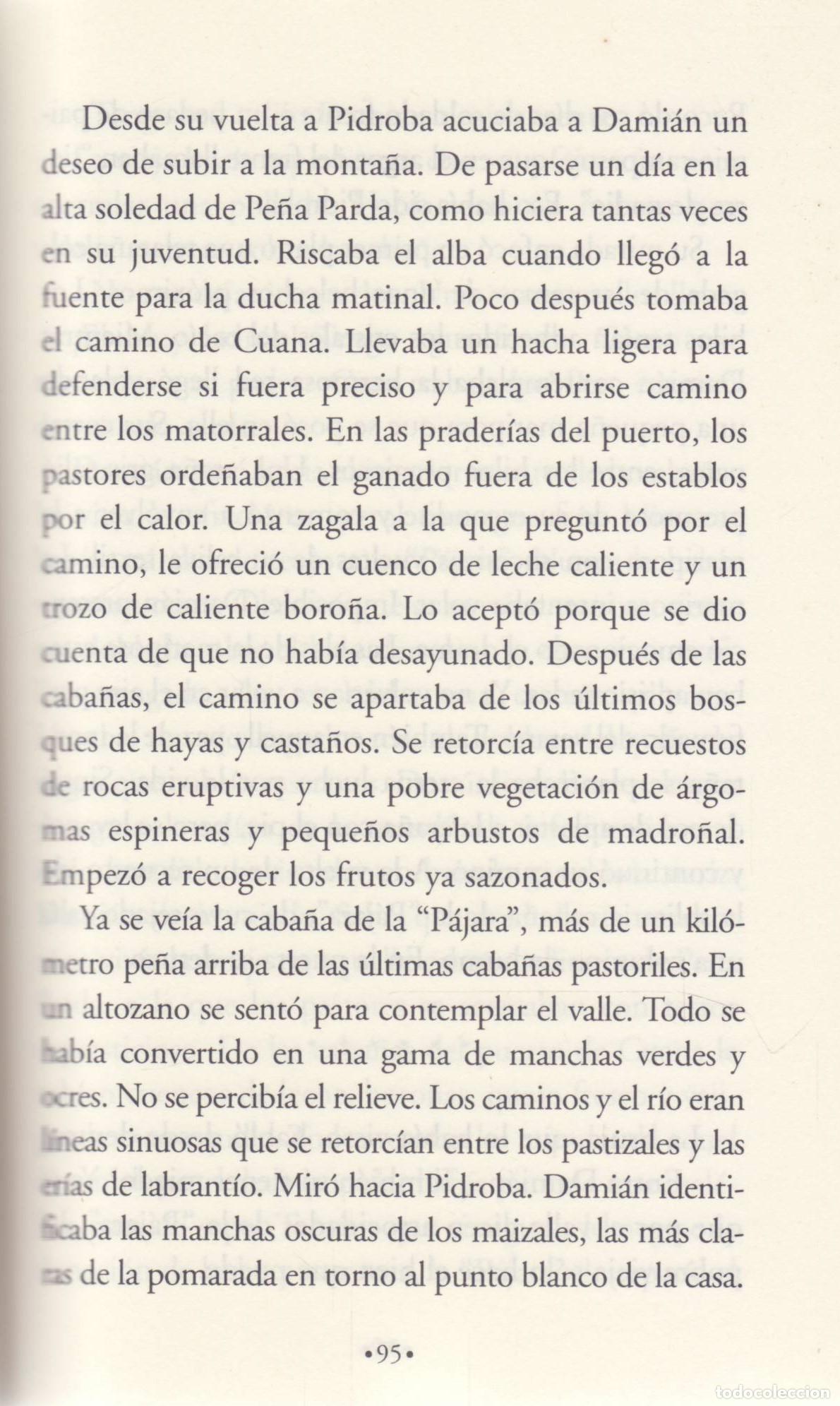 Libros de segunda mano: Heroe de Paz - Cabezas, Juan Antonio - Foto 2