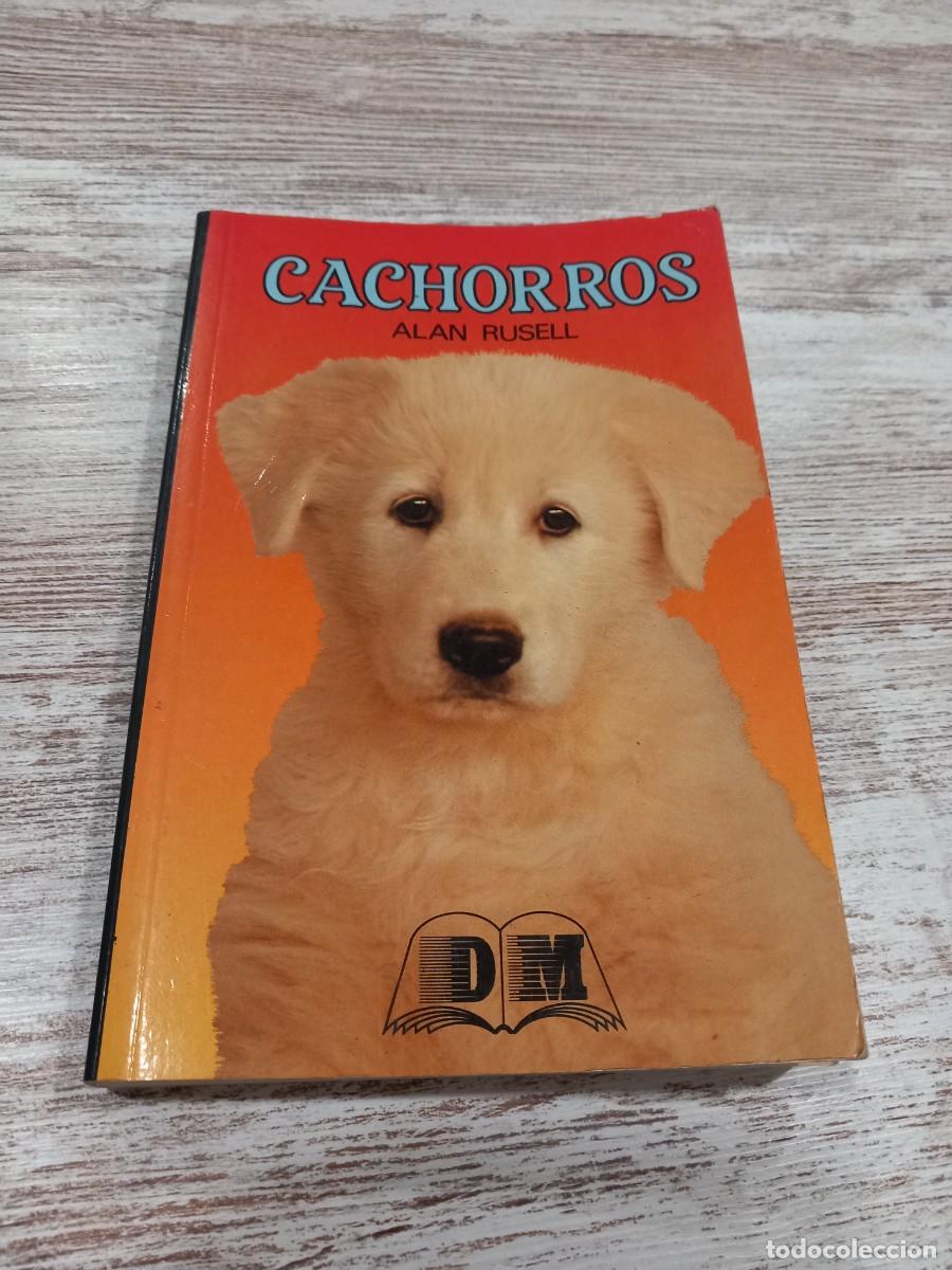 Libros de segunda mano: Libro Cachorros | Allan Rusell | 1995 - Foto 1