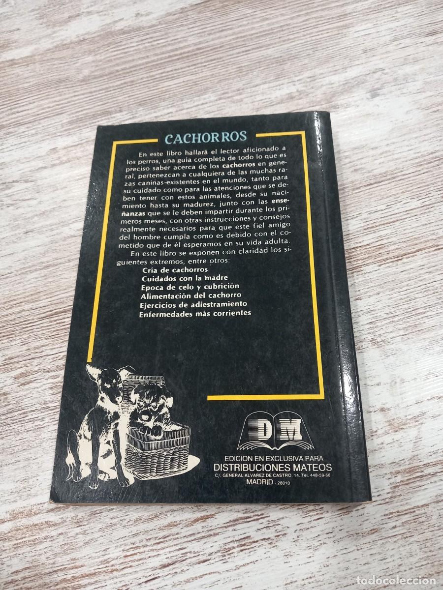 Libros de segunda mano: Libro Cachorros | Allan Rusell | 1995 - Foto 2