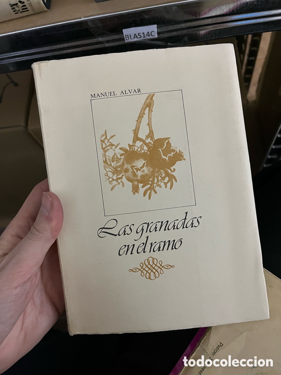 Libros de segunda mano: BLAS14C MANUEL ALVAR Las granadas en el ramo - Foto 1