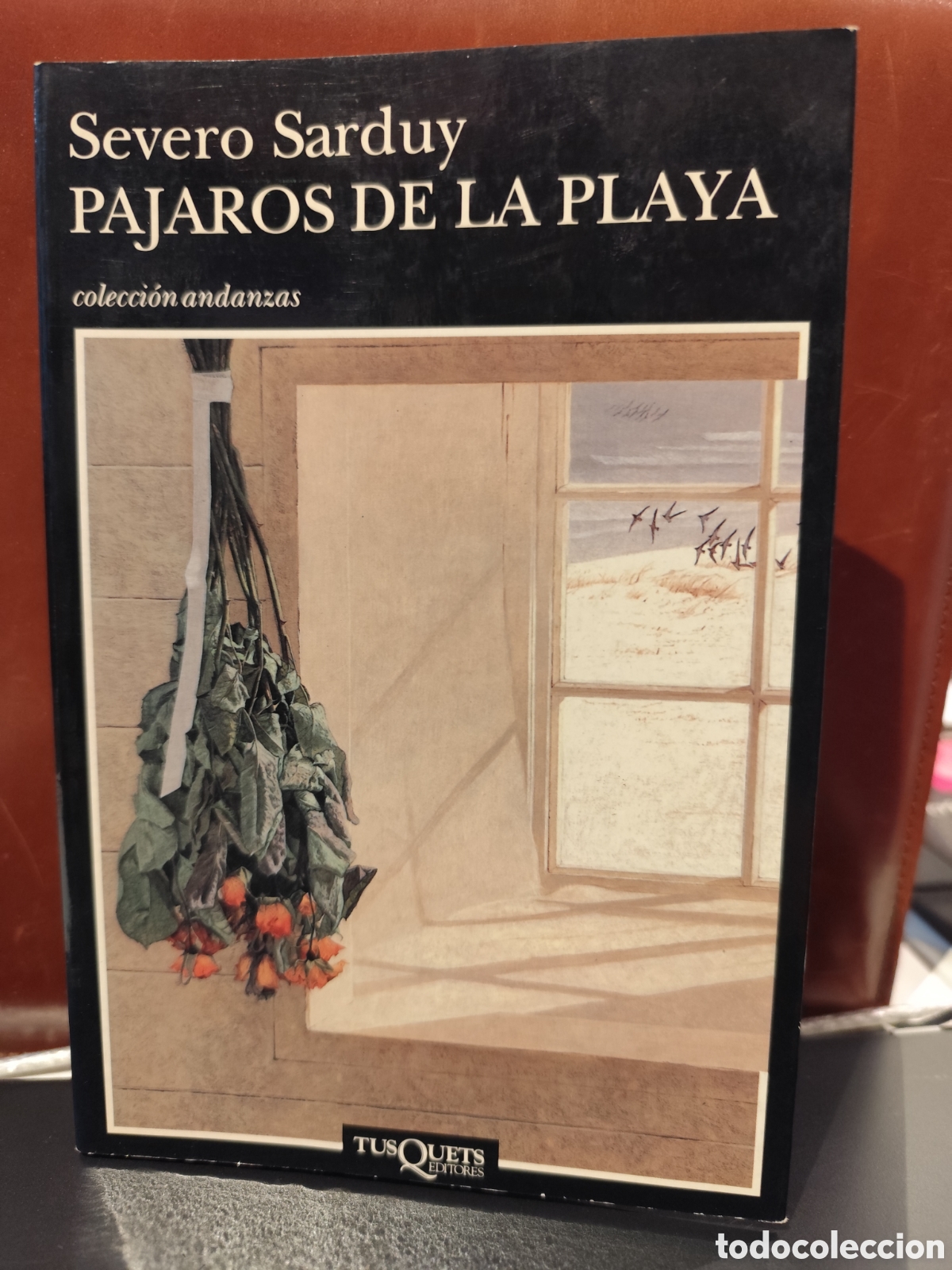 Libros de segunda mano: P&aacute;jaros de la playa. Severo Sardiy - Foto 1