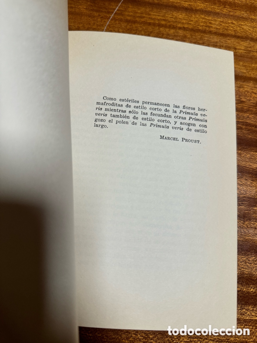 Libros de segunda mano: El giocondo francisco umbral - Foto 4