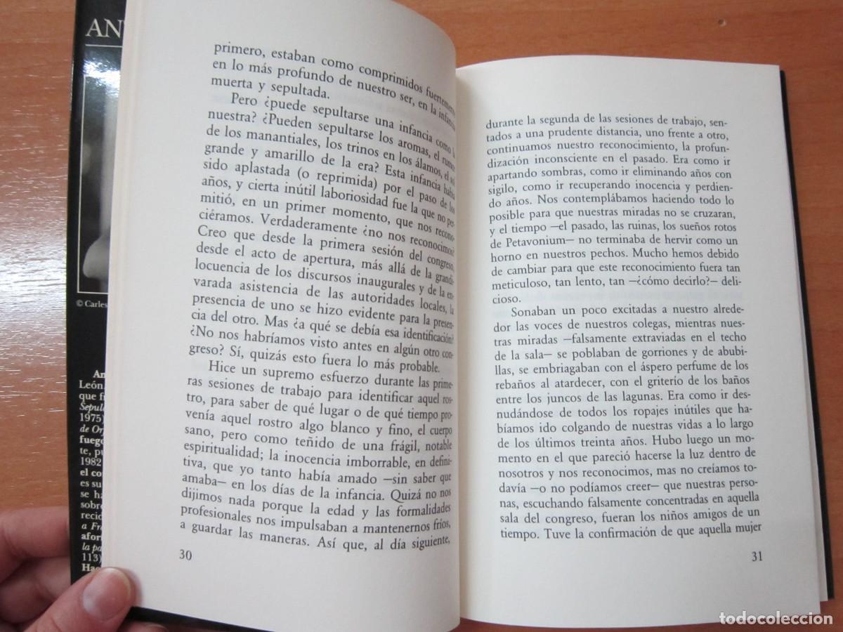 Libros de segunda mano: Dias en petavonium, de Antonio Colinas - Foto 3