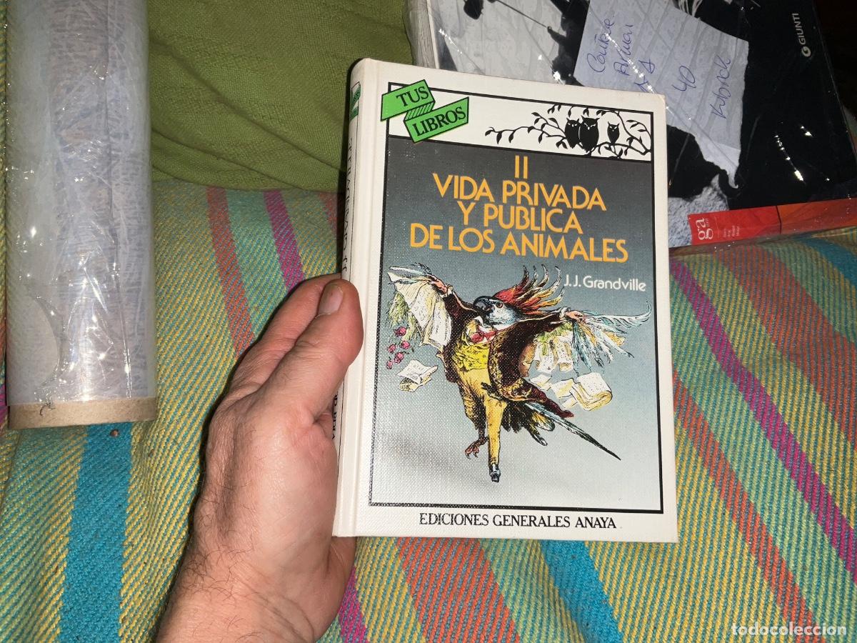 Second hand books: VIDA PRIVADA Y P&Uacute;BLICA DE LOS ANIMALES, II - GRANDVILLE, J. J
