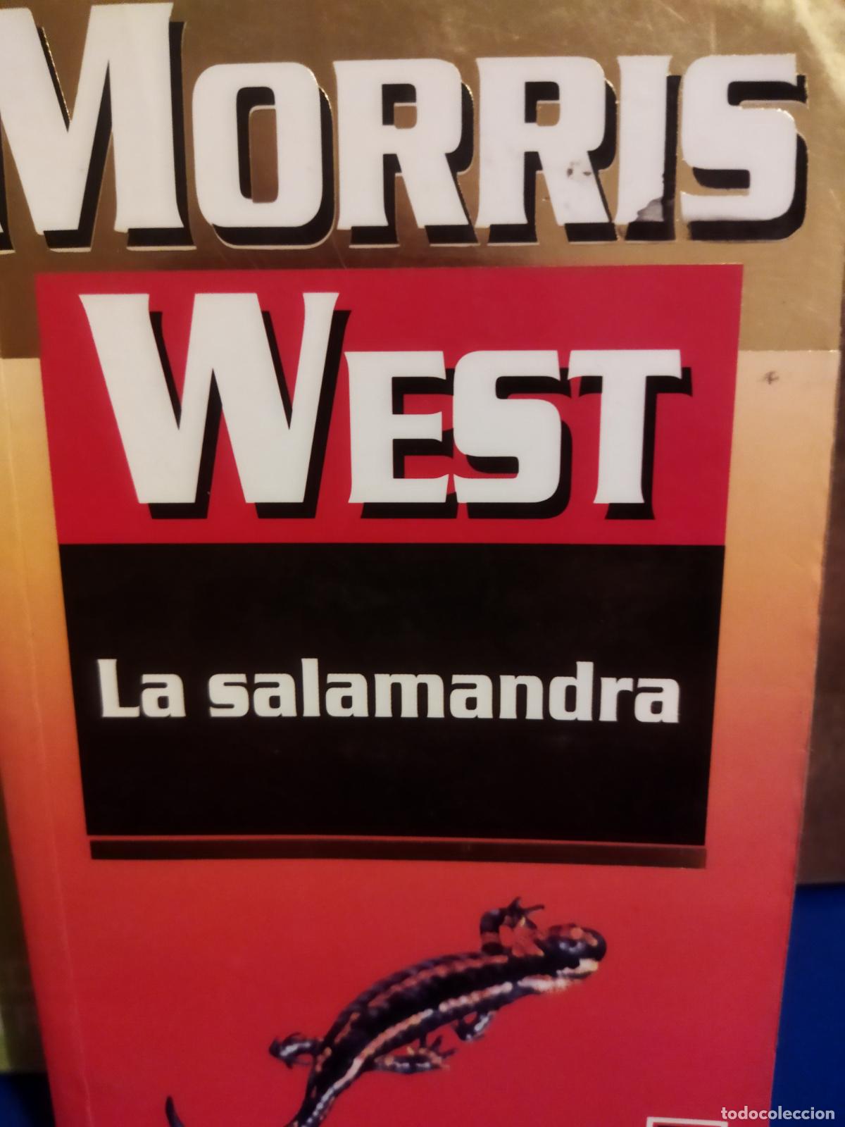 Libros de segunda mano: La salamandra Morris West - Foto 1