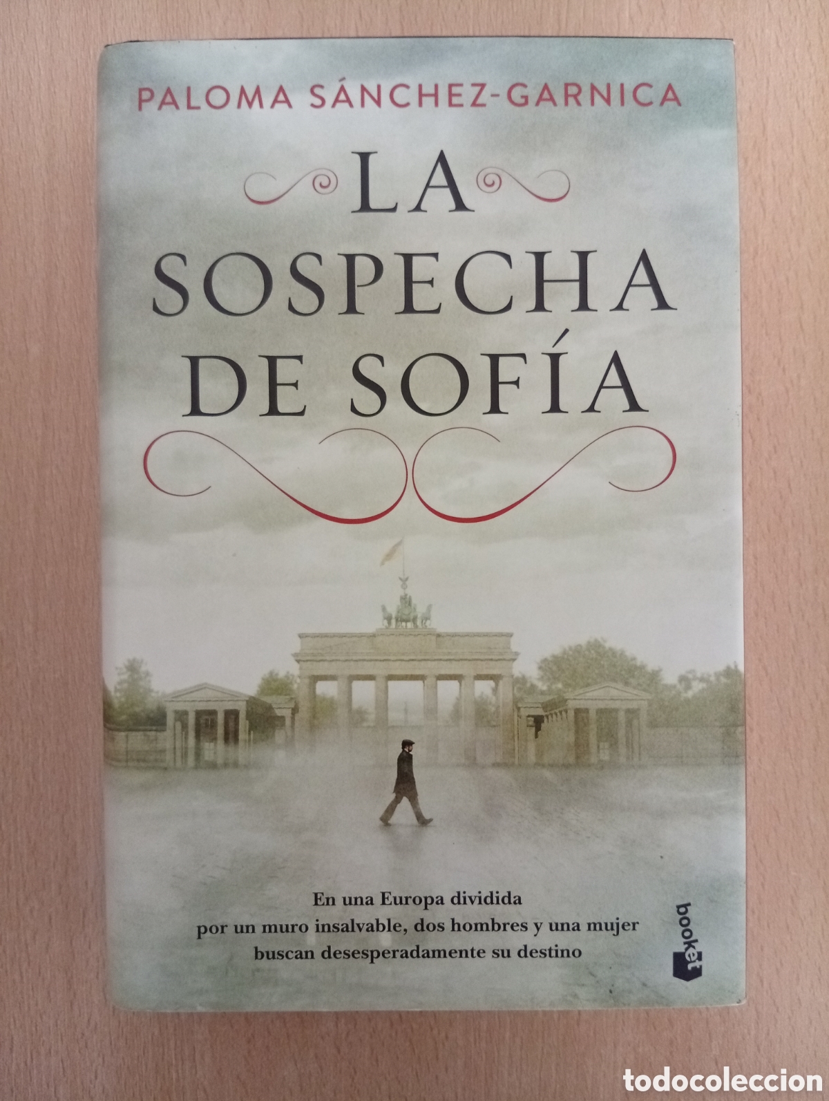 Libros de segunda mano: LA SOSPECHA DE SOF&Iacute;A. Paloma S&aacute;nchez-Garnica - Foto 1