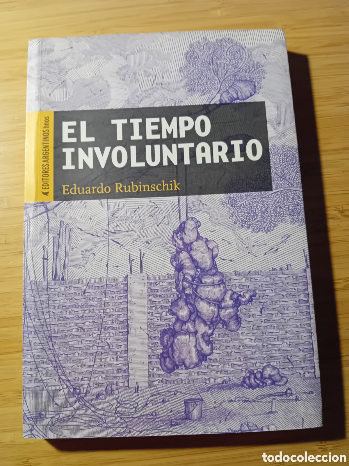 Livres d'occasion: El tiempo involuntario - Eduardo Rubinschik (Ed. argentinos hnos 2013)