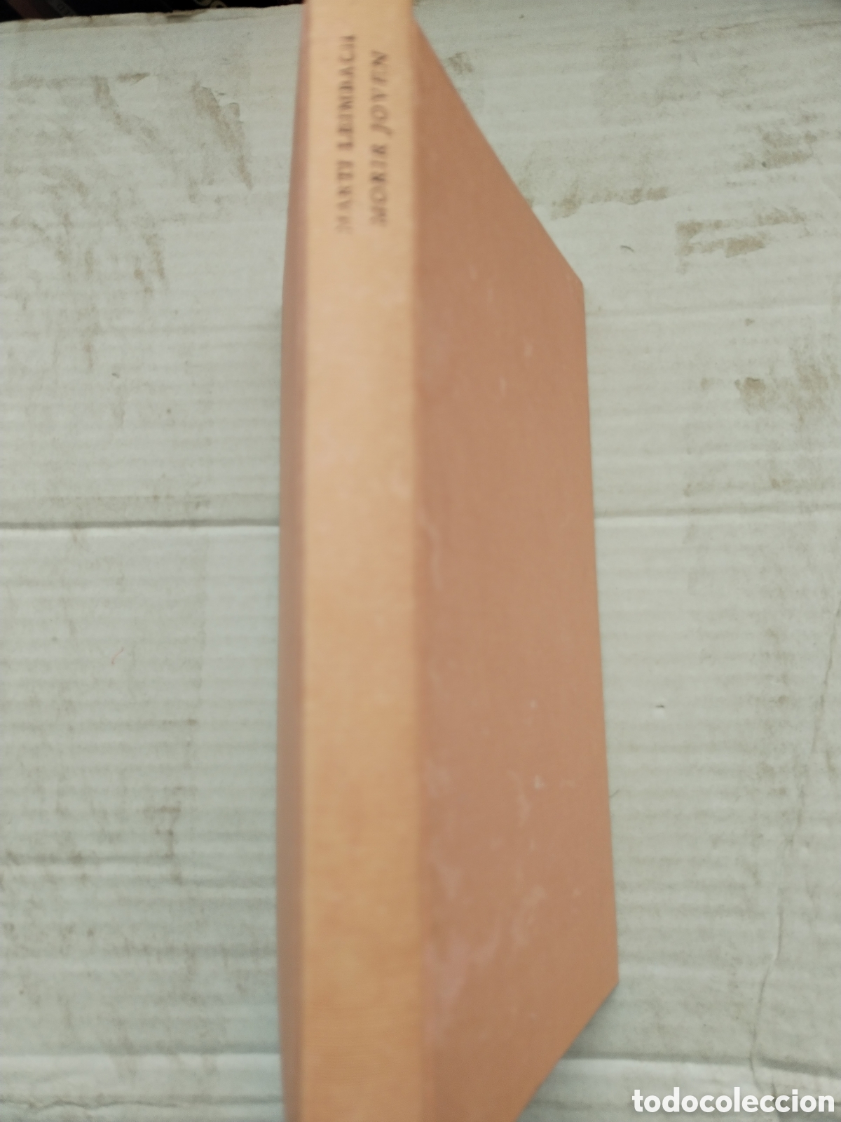 Libros de segunda mano: MORIR JOVEN/MART&Iacute;N LEIMBACH - Foto 1