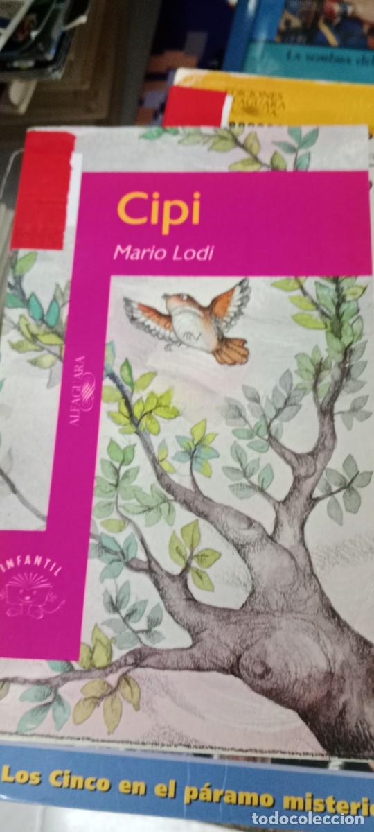 Libros de segunda mano: TOP-15 LIBRO CIPI. MARIO LODI - Foto 1