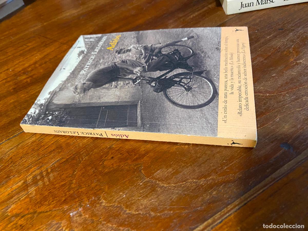 Libros de segunda mano: Adi&oacute;s - Patrice Lelorain - Foto 1