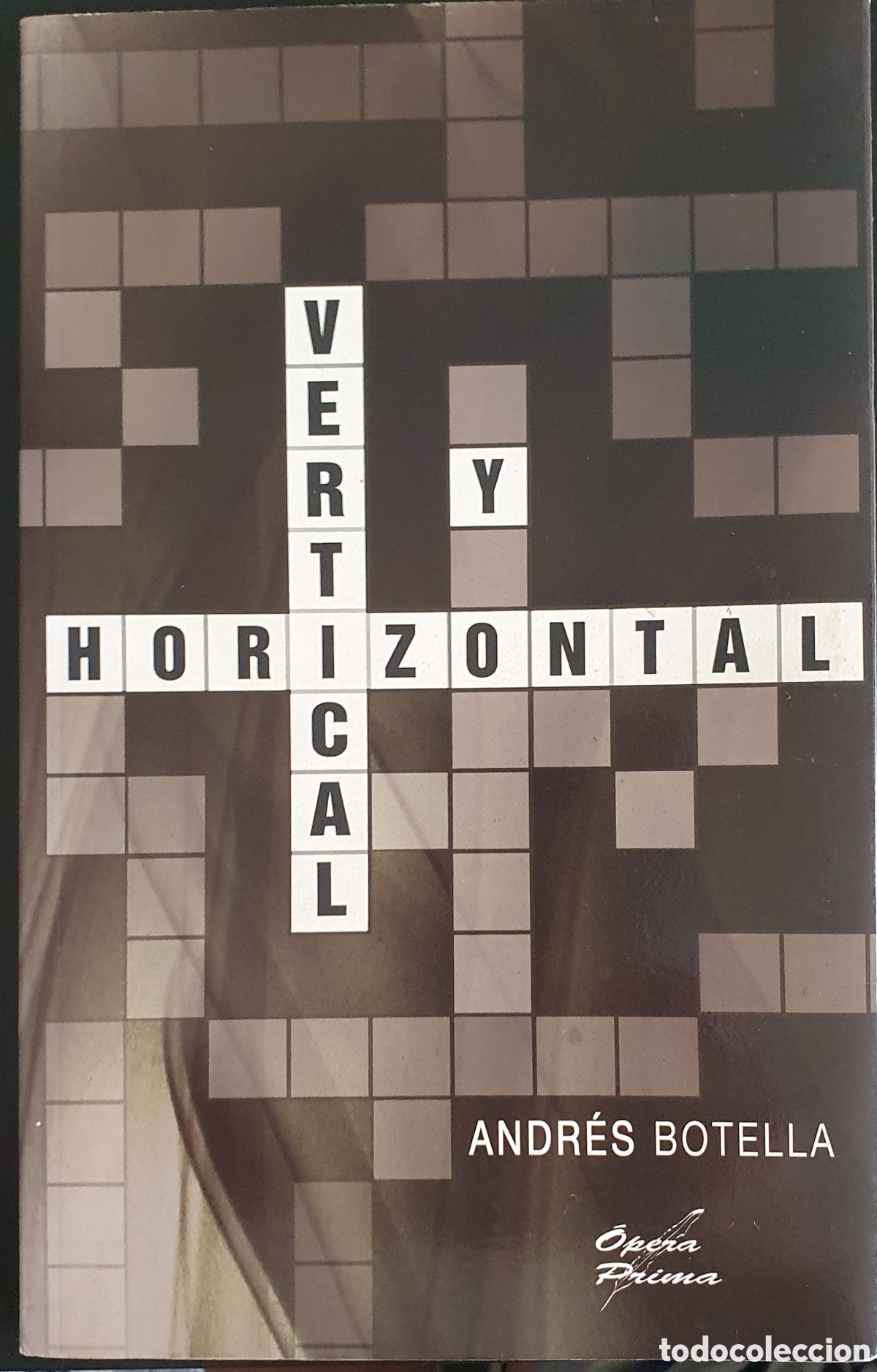 Livres d'occasion: Vertical y horizontal Andr&eacute;s Botella