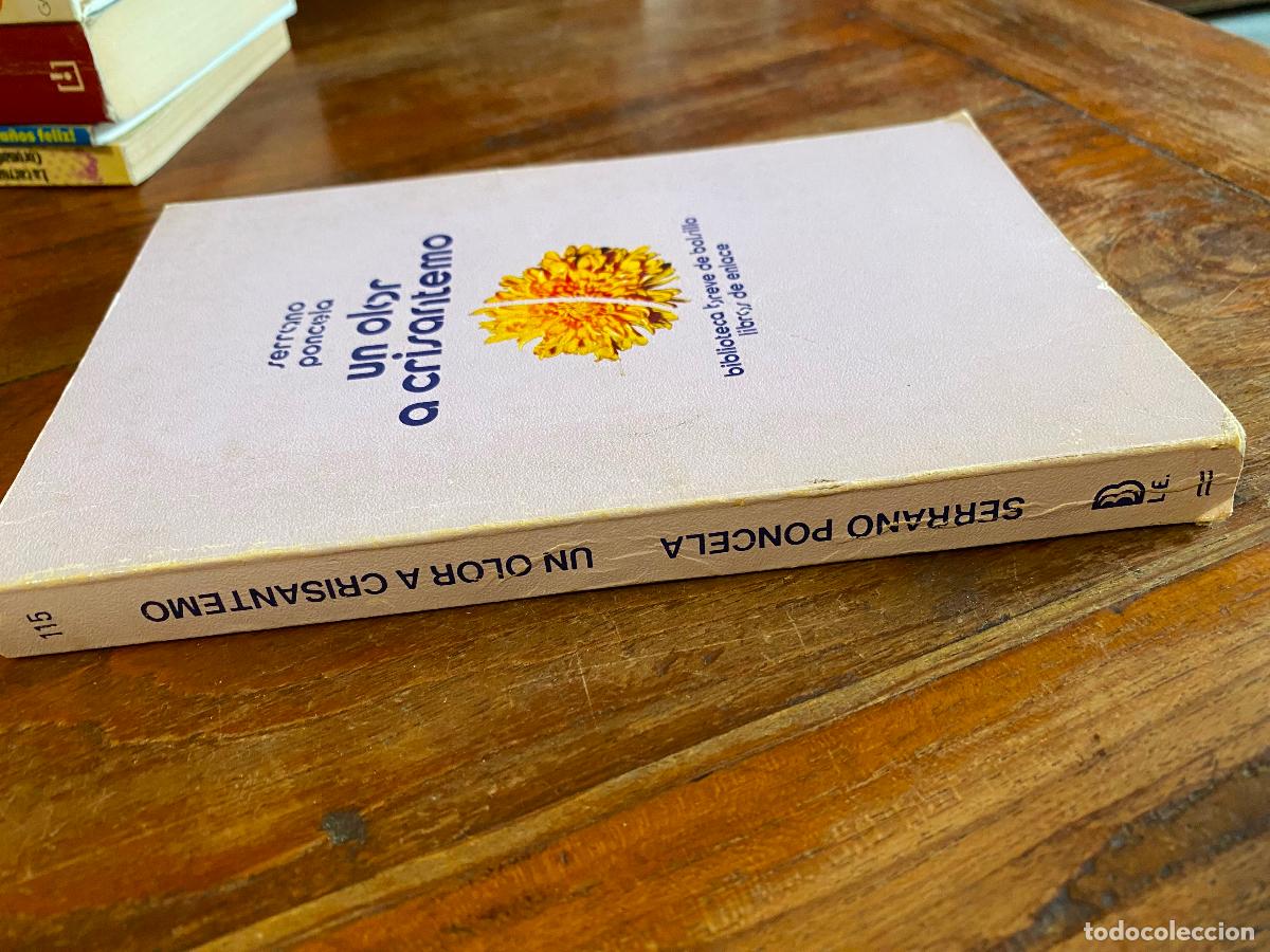 Libros de segunda mano: UN OLOR A CRISANTEMO. SERRANO PONCELA - Foto 1