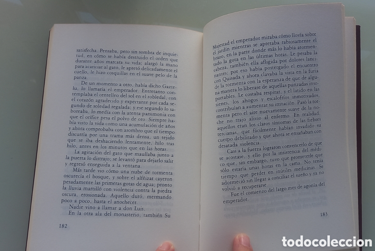 Libros de segunda mano: La joven de la perla, de Marta Morazzoni - Foto 6