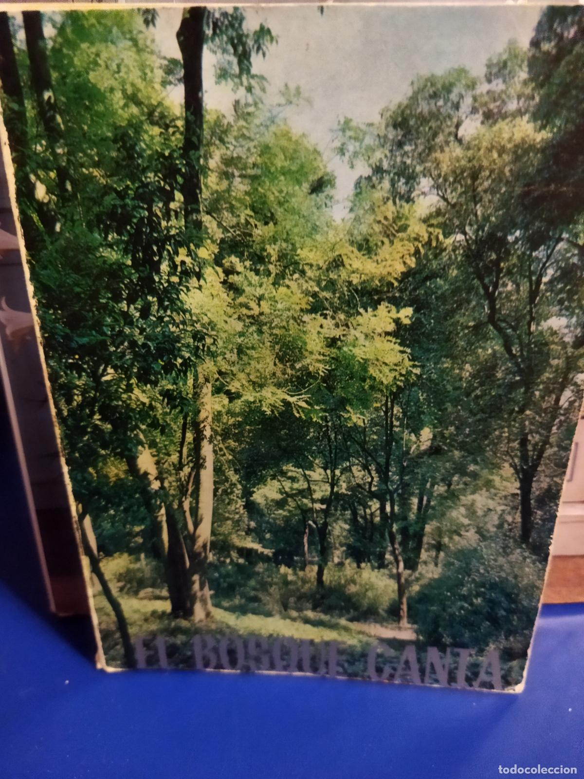 Gebrauchte B&uuml;cher: El bosque canta Mar&iacute;a P.Giudice