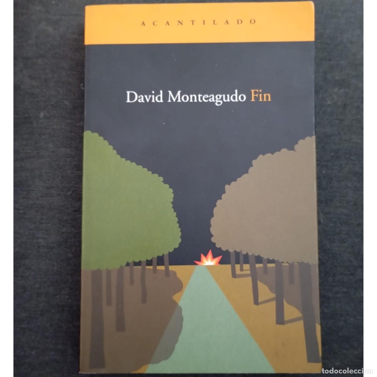 Libros de segunda mano: FIN - DAVID MONTEAGUDO - Foto 1
