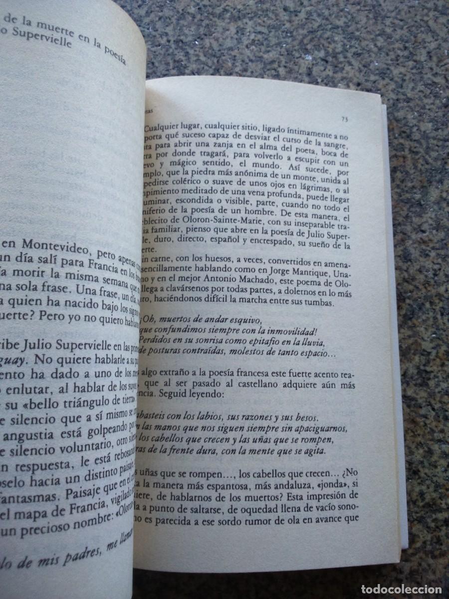 Libros de segunda mano: PROSAS -- RAFAEL ALBERTI -- ALIANZA -- - Foto 2