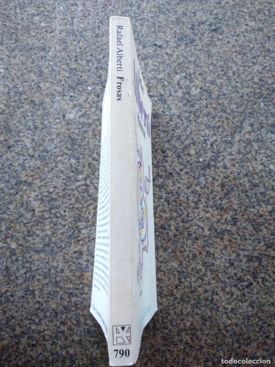 Libros de segunda mano: PROSAS -- RAFAEL ALBERTI -- ALIANZA -- - Foto 3