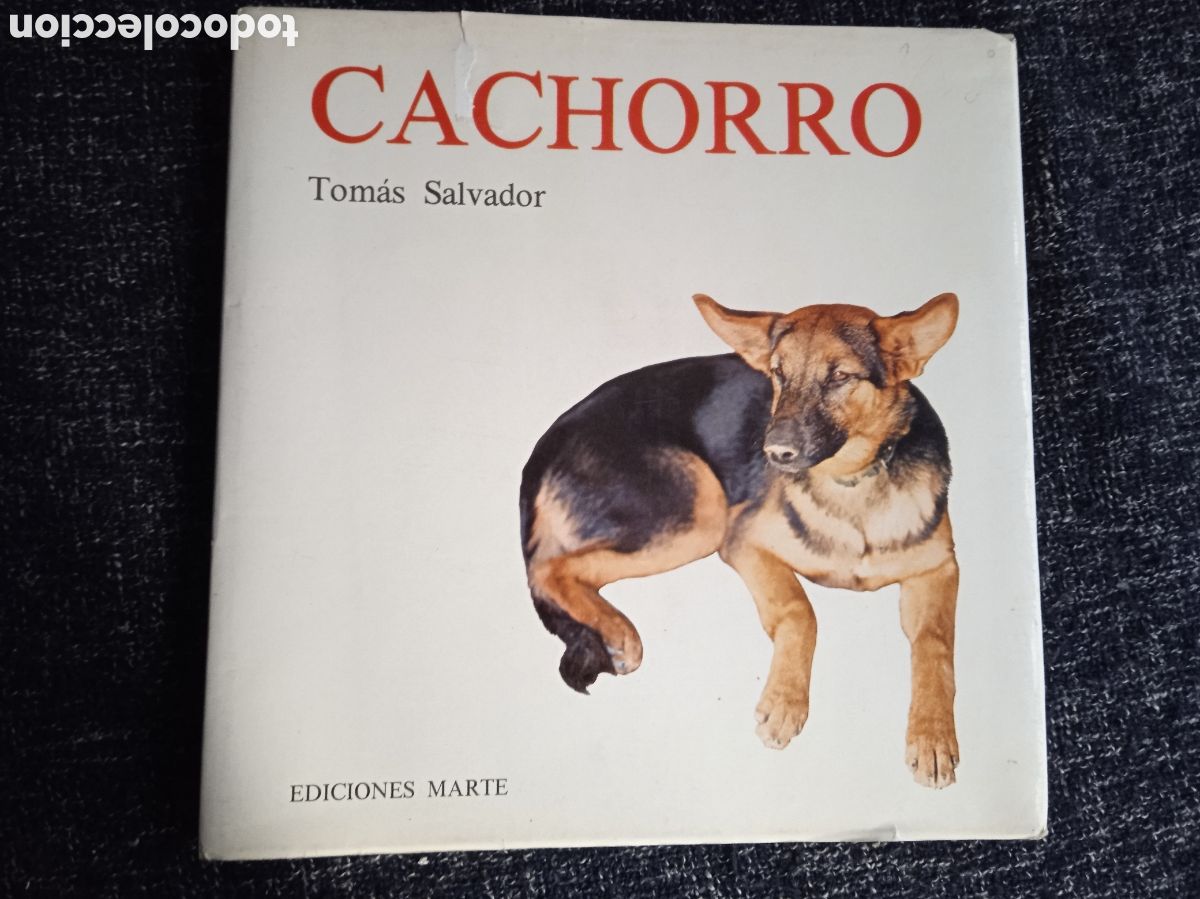 Gebrauchte B&uuml;cher: CACHORRO / TOM&Aacute;S SALVADOR -ED. EDICIONES MARTE