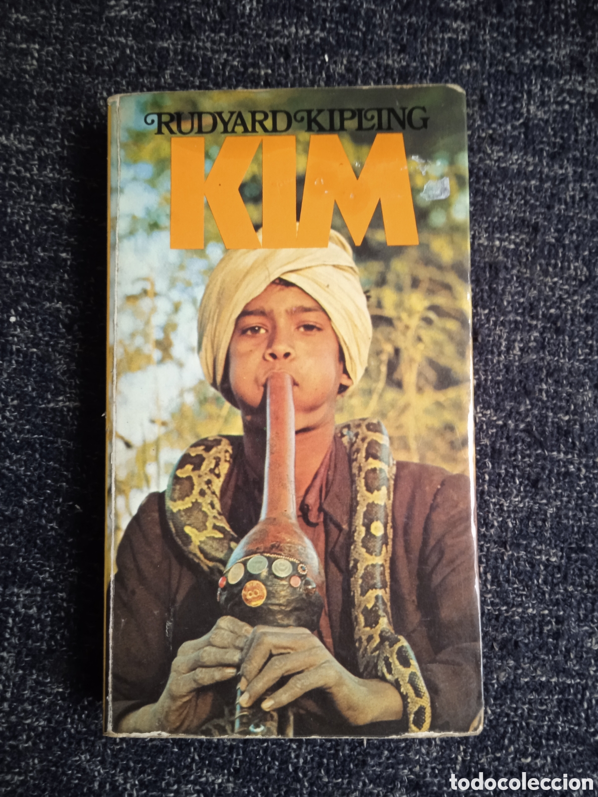 Kim / Rudyard Kipling