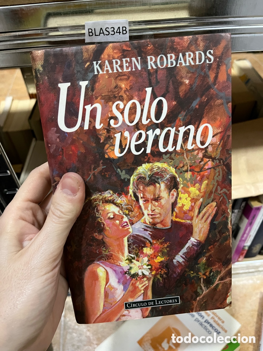 Libros de segunda mano: BLAS34B KAREN ROBARDS Un solo verano