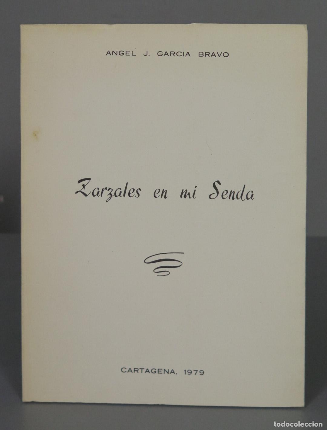 Libri di seconda mano: ZARZALES EN MI SENDA. Bravo Garcia