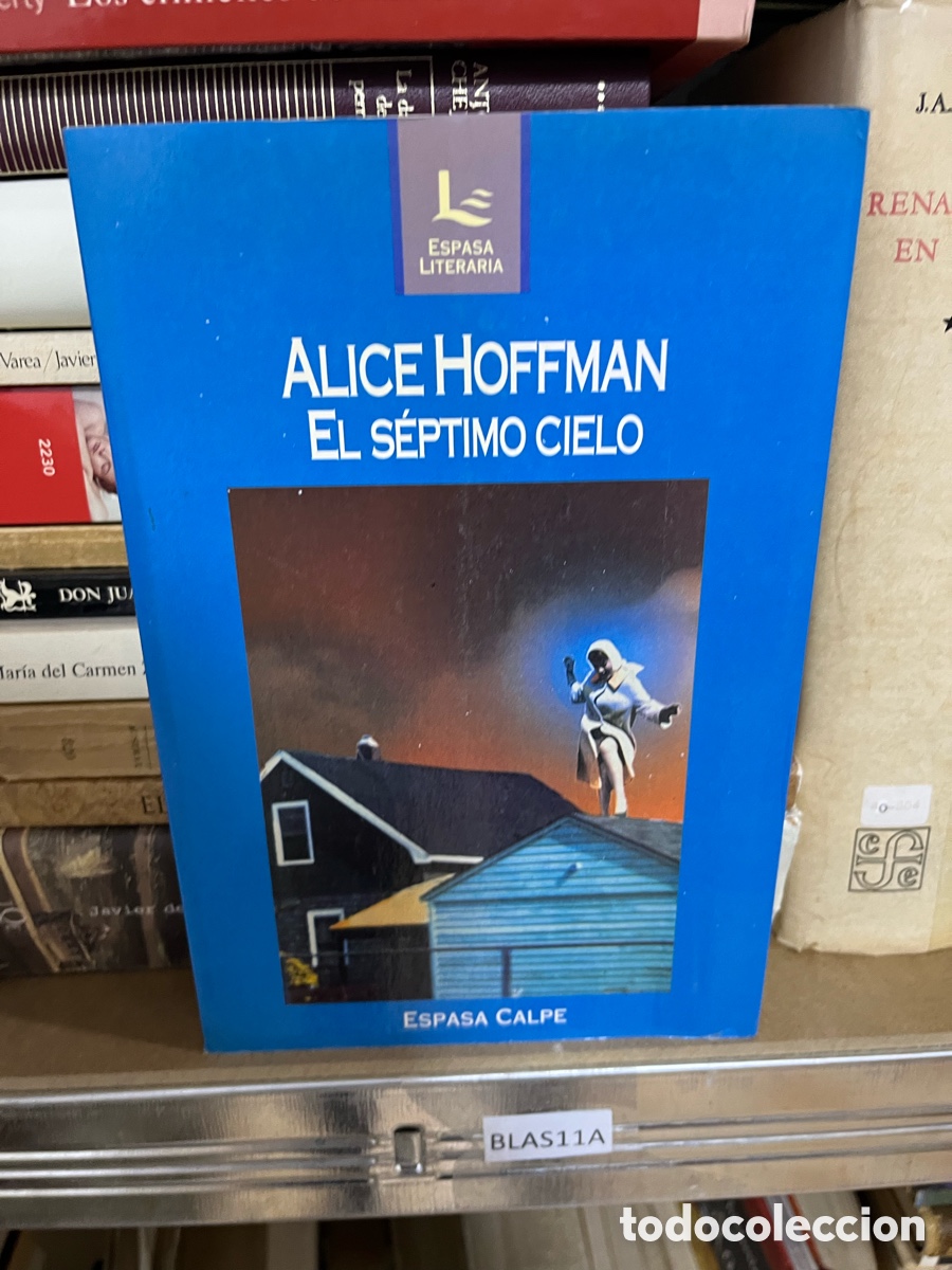Libros de segunda mano: Blas11A ALICE HOFFMAN EL S&Eacute;PTIMO CIELO
