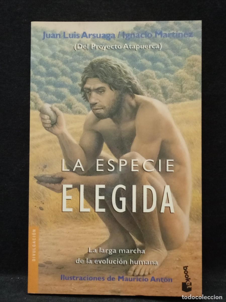 Libros de segunda mano: LOTE DE NOVELAS VARIAS