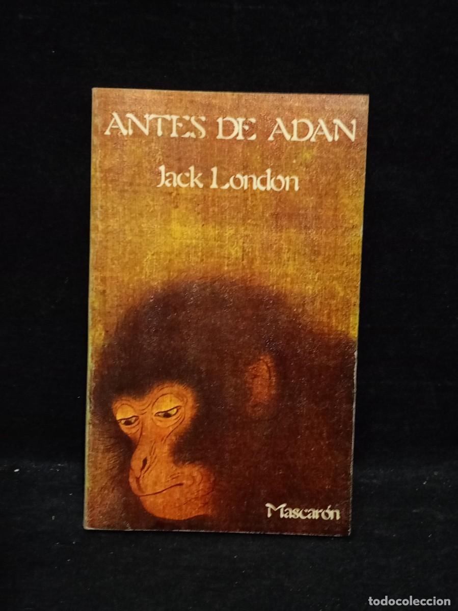 Libros de segunda mano: LOTE DE VARIAS NOVELAS - Foto 13