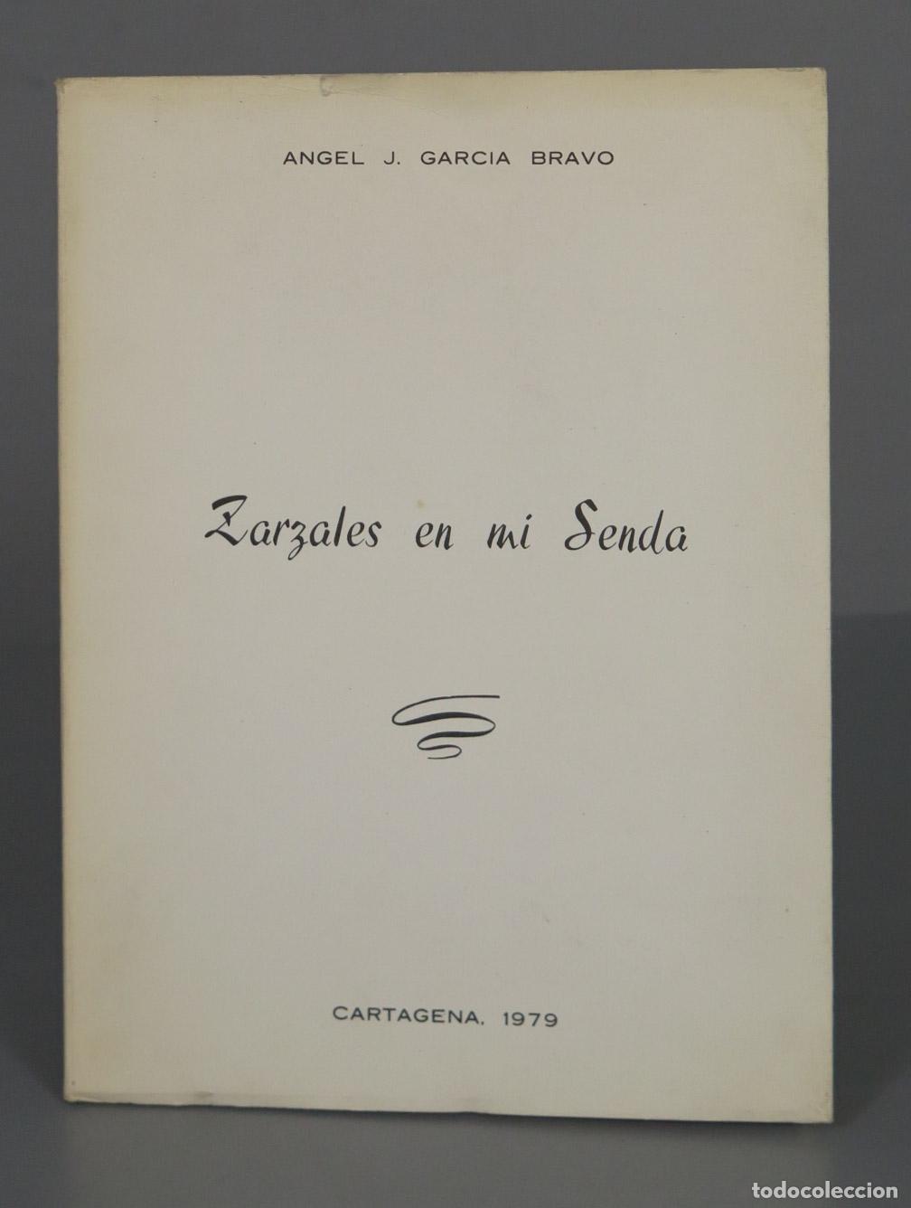 Second hand books: ZARZALES EN MI SENDA. Bravo Garcia