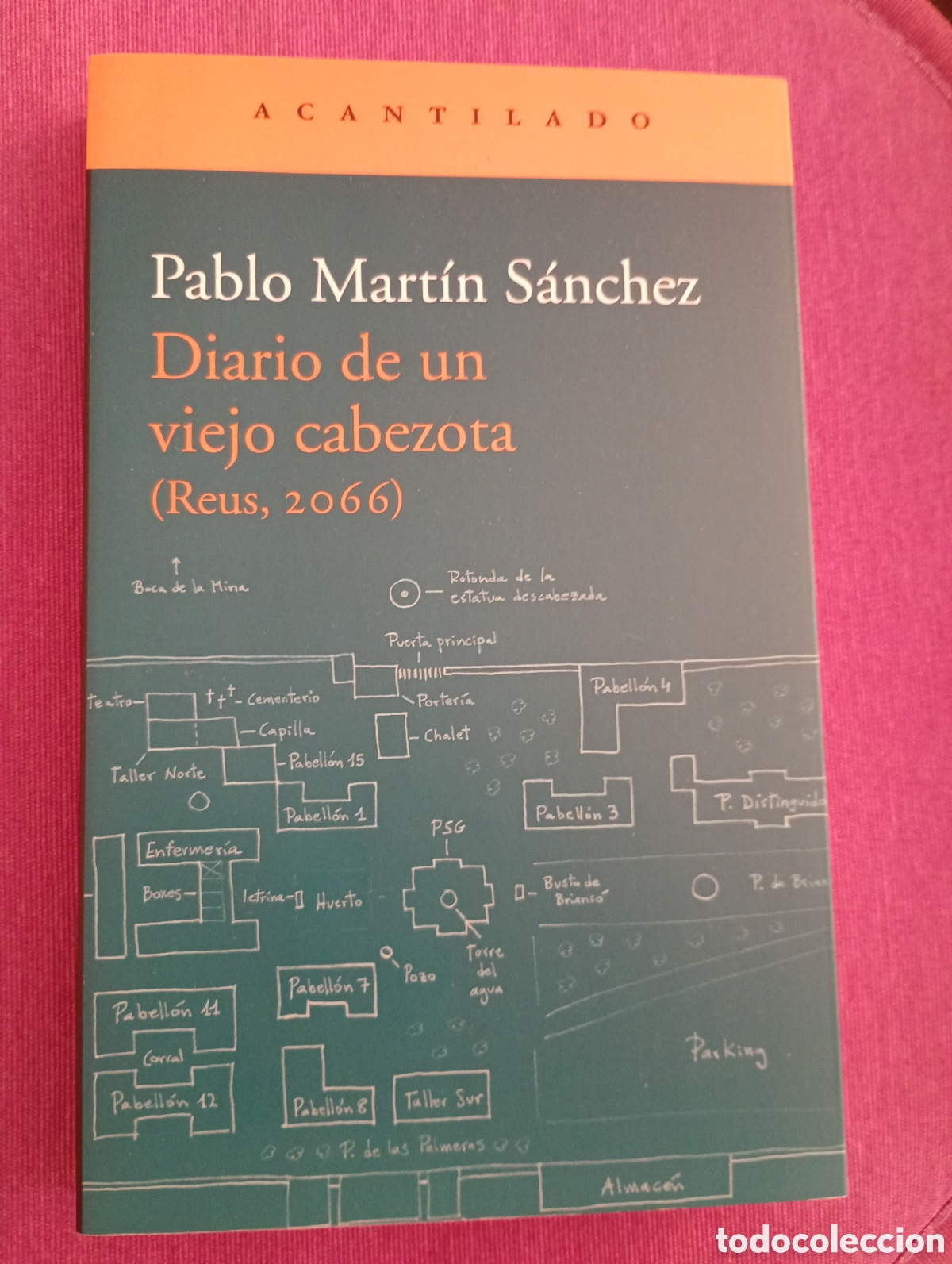 Libros de segunda mano: Pablo Martin Sanchez .Diario de un viejo cabezota . Reus , 2066 . Acantilado .