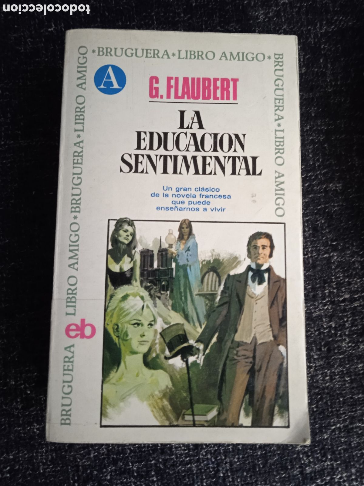 Libri di seconda mano: LA EDUCACI&Oacute;N SENTIMENTAL / GUSTAVE FLAUBERT -ED. BRUGUERA