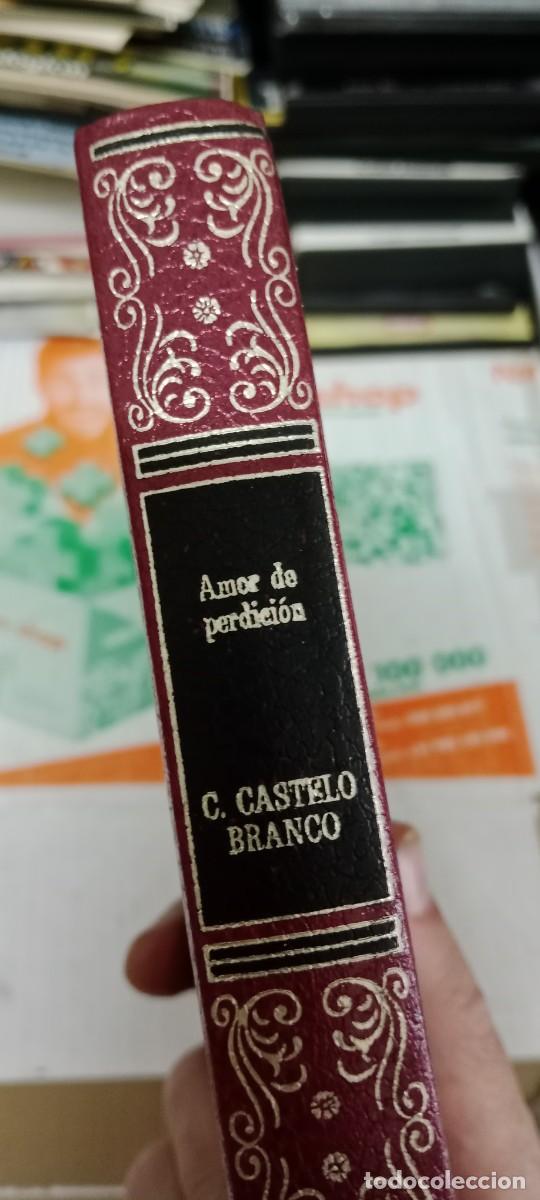 Libros de segunda mano: M-29 LIBRO Amor de perdici&oacute;n.- Castelo Branco, Camilo - Foto 2
