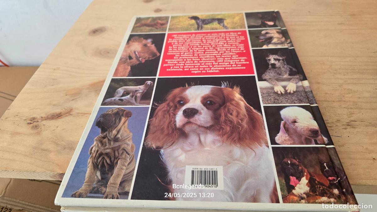 Libros de segunda mano: 1000 IMAGENES DE PERROS LIBRO IBERLIBRO SE - Foto 4