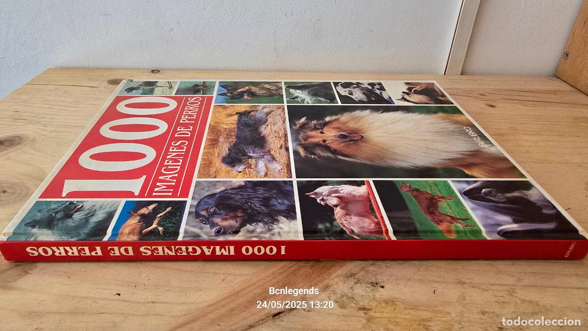 Libros de segunda mano: 1000 IMAGENES DE PERROS LIBRO IBERLIBRO SE - Foto 1