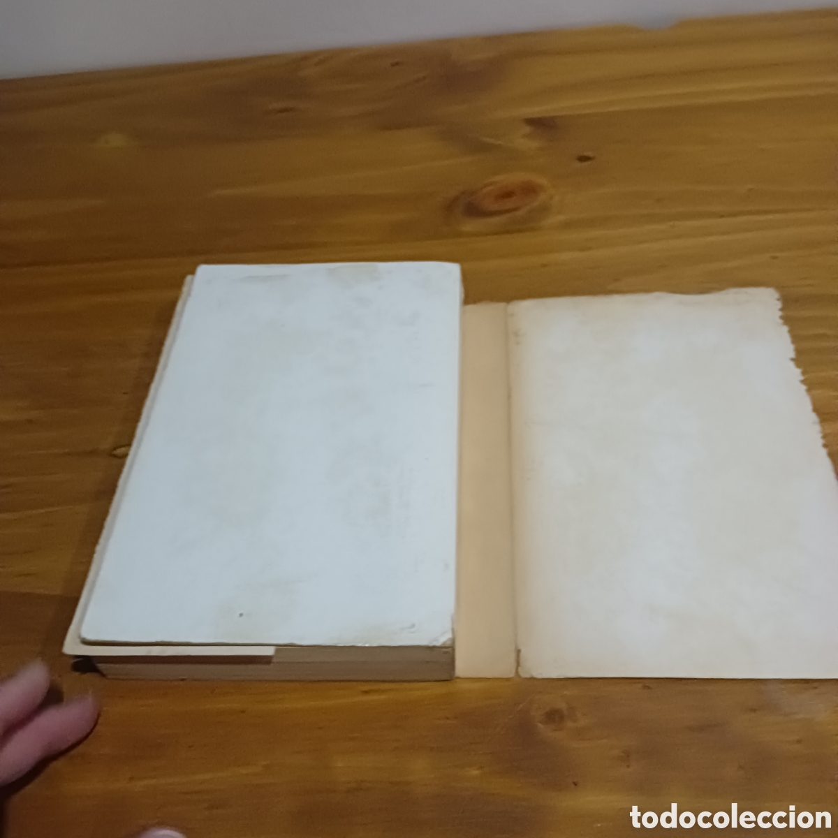 Libros de segunda mano: Chacal. Frederic Forsyth. - Foto 8